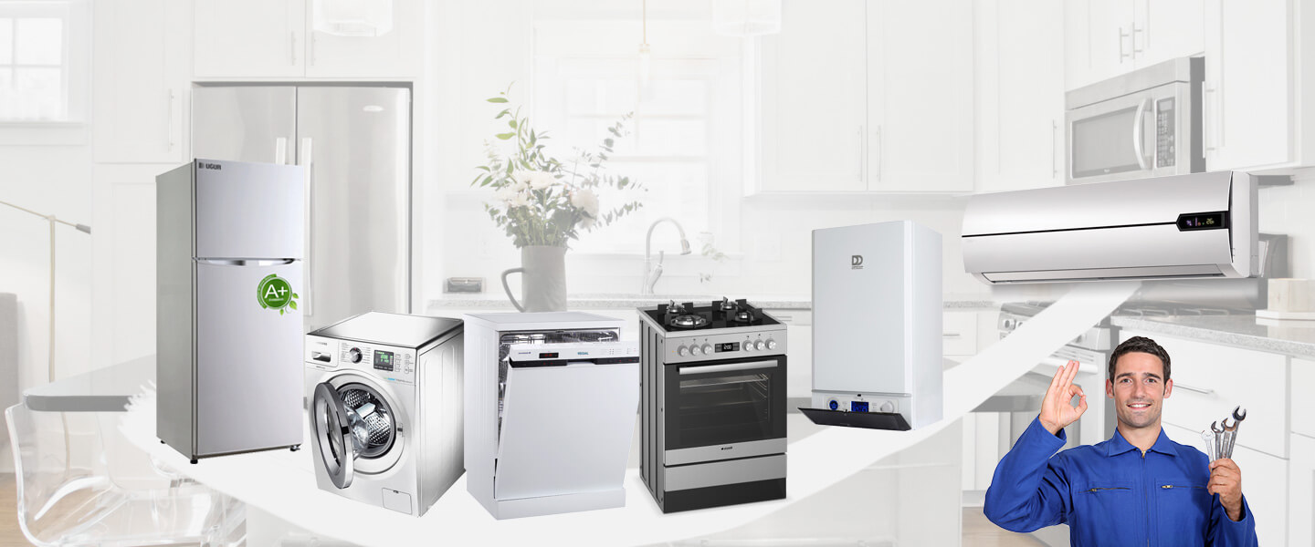 Bahçelerarası Daikin Servisi